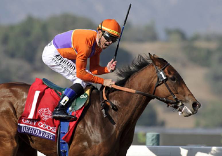 Racehorse Beholder with jockey wearing orange and purple silks during a race.