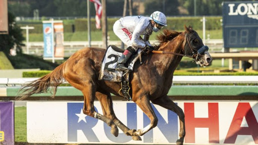 A brown racehorse with a jockey in white and blue attire racing on a track during a competition.