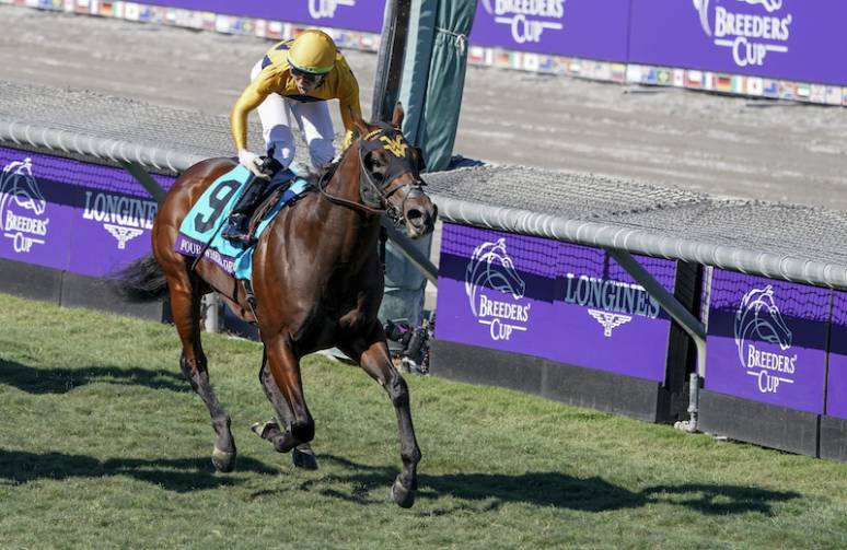 Thoroughbred racehorse number 9 racing at the Breeders Cup with jockey in yellow and white attire on a grassy track.