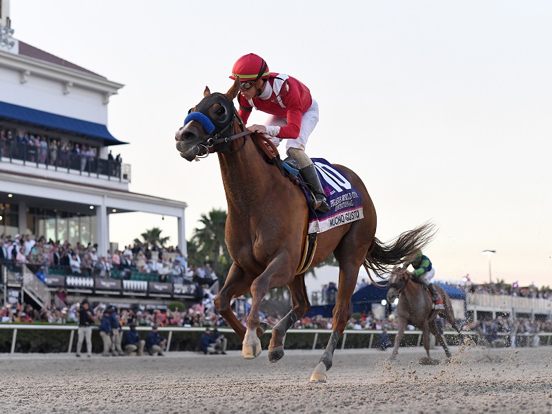 A racehorse with a jockey in red and white attire competing at a horse racing event.