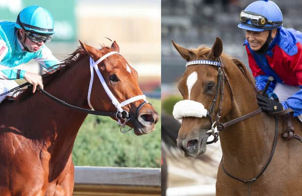 Two racehorses with jockeys in racing gear, one horse is chestnut and the other is a lighter color with a white marking.