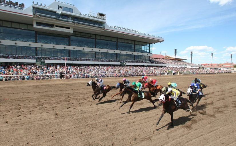 Horses racing on a dirt track with a large crowd in the background at a racetrack.