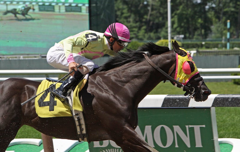 A racehorse with a jockey in colorful attire competing in a horse race at a racetrack, showcasing speed and agility.