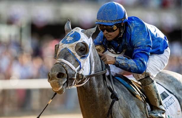 A racehorse with a blue and white jockey, showcasing speed and determination during a horse race, with a focus on the horse's features.