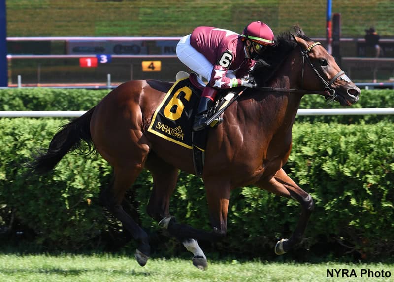 A thoroughbred racehorse with a jockey in maroon and black racing gear galloping on a racetrack.