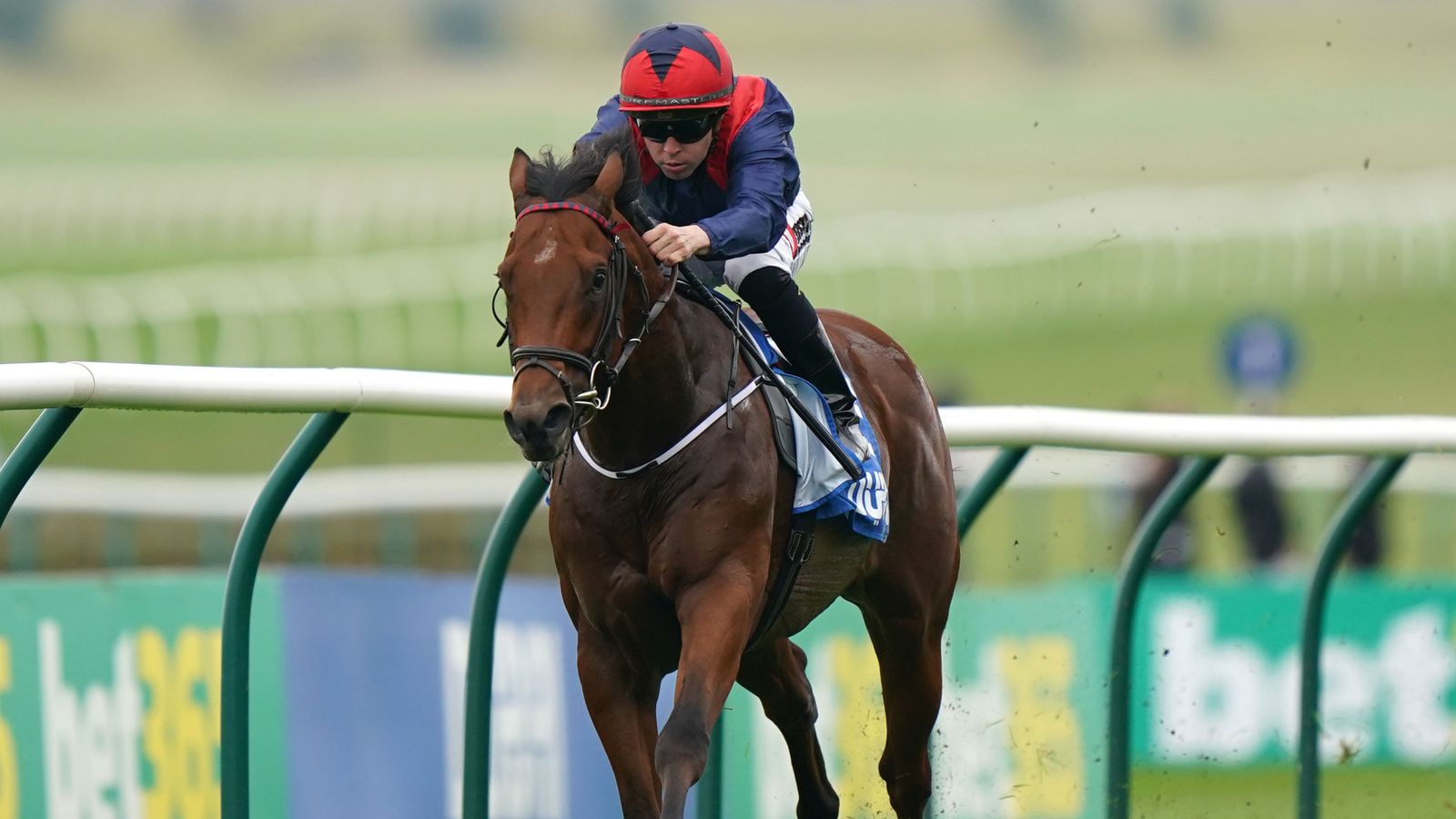 A jockey riding a brown racehorse during a horse race on a track.