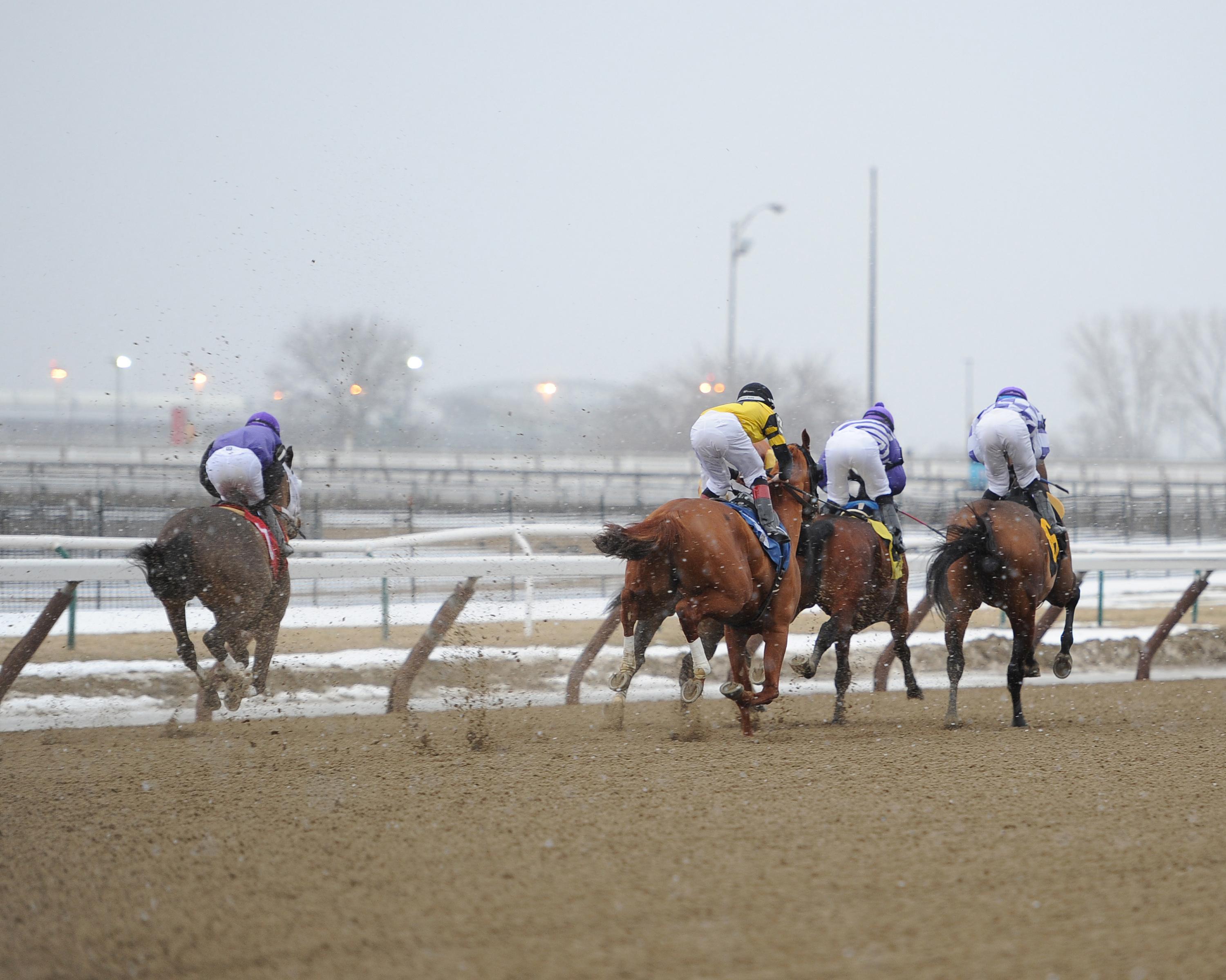 Four horses and jockeys racing on a snowy track with a blurred background.