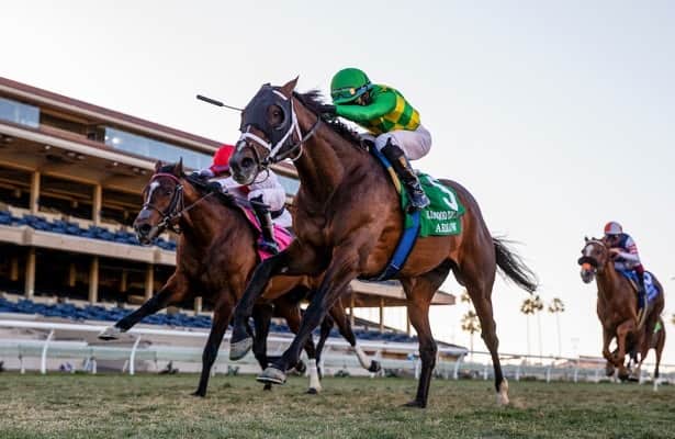 Two racehorses with jockeys in colorful silks competing on a racetrack.