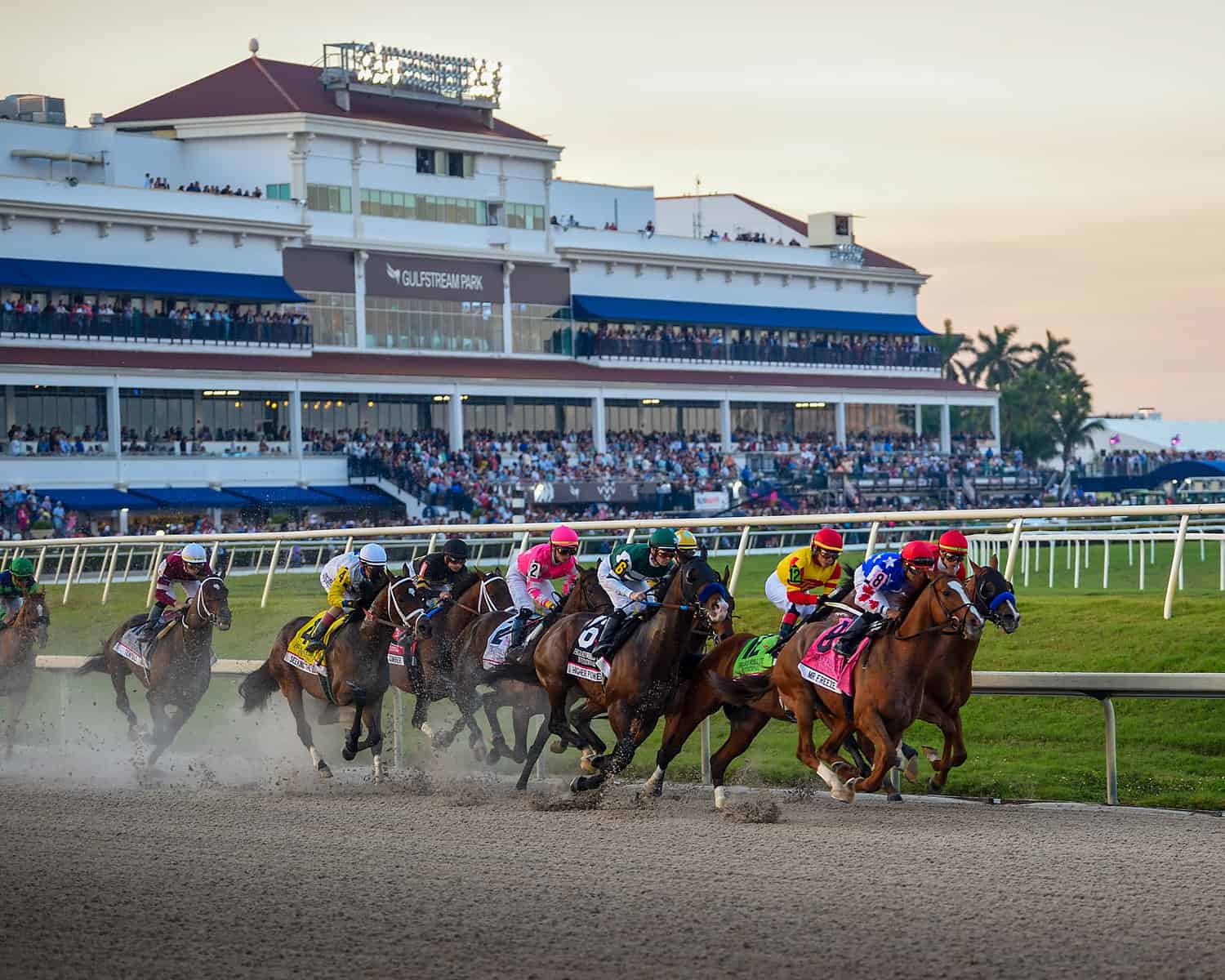 A dynamic horse race at Gulfstream Park featuring multiple jockeys and horses competing on a dirt track.